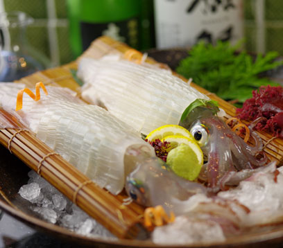 博多割烹 水音(みずね) 呼子いか活造り